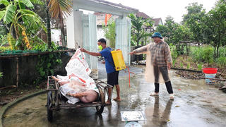 Hà Tĩnh: Dịch tả lợn châu Phi diễn biến phức tạp