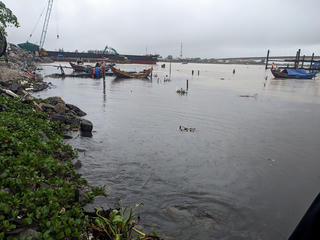 Một công ty nhập, xuất than ở Quảng Trị bị phạt 120 triệu đồng