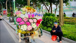 Những gánh hoa rong