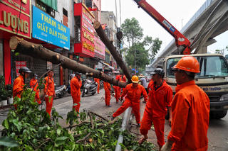 Hà Nội: Chưa thể khắc phục loạt cây đổ sau trận mưa lớn