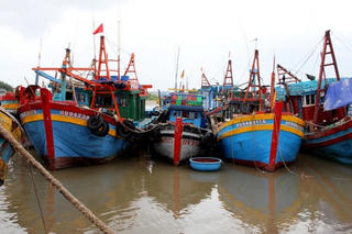Ảnh hưởng bởi giá dầu, nhiều tàu cá nằm bờ