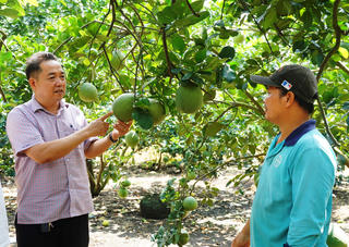 Khi nông dân thay đổi tư duy làm nông nghiệp