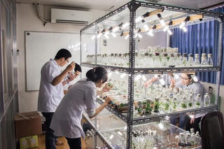 Bất ngờ xếp hạng đại học năm 2024