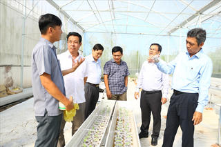 Triển khai hiệu quả các Chương trình Mục tiêu quốc gia trong vùng đồng bào Khmer
