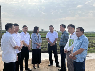 Hà Nội: Đẩy mạnh quảng bá, giới thiệu sản phẩm địa phương