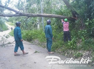 Quảng Nam: Bộ Chỉ huy quân sự tỉnh hỗ trợ người dân khắc phục hậu quả bão số 1