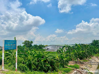 Hải Phòng: Người dân phản ánh trại lợn gây ô nhiễm, chính quyền vào cuộc