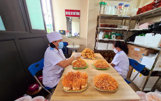 Khi nông dân không ruộng làm giàu