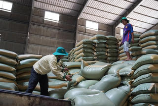 Định danh hàng Việt