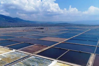 Bộ Tài chính đề xuất loạt chính sách miễn giảm tiền sử dụng đất, thuê đất