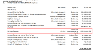 Yêu cầu Tân Tạo giải trình việc tạm ứng hơn 600 tỷ đồng cho bà Đặng Thị Hoàng Yến
