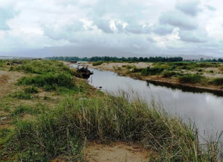 Nhiều diện tích hoa màu nguy cơ mất trắng