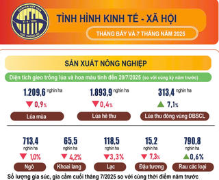 Infographics: Tình hình kinh tế - xã hội tháng 7 và 7 tháng năm 2025
