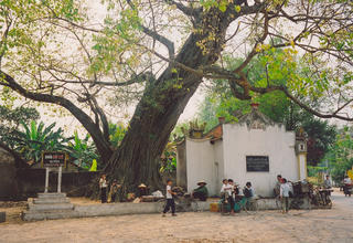 Hai câu chuyện về ‘nơi tôi sinh’