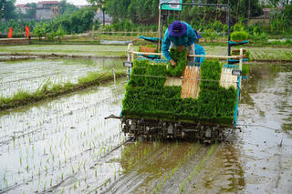 Cơ giới hóa sản xuất nông nghiệp: Còn không ít rào cản