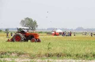 Quy định chính sách đất đai trong đồng bào dân tộc thiểu số