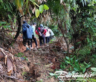 Quảng Nam: Công bố tình huống khẩn cấp về sụt lún đất tại xã Đắc Pre