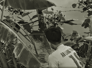 Lạc thú của miệt vườn