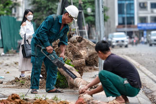 Hà Nội: Hàng cây héo khô trên tuyến đường mới mở, ai sẽ chịu trách nhiệm?