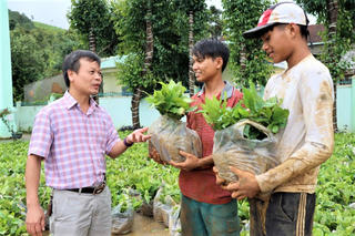Người dân Quảng Ngãi gửi cây giống, phân bón thay hoa chúc mừng đến Đại hội Đảng bộ xã