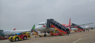 Khỉ xuất hiện ở sân bay Nội Bài, Cục Hàng không chỉ đạo khẩn 