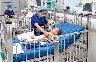 Cẩn trọng trong mùa rắn sinh sôi