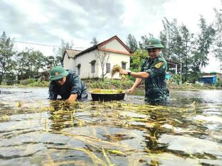 Khẩn trương khắc phục hậu quả bão số 1
