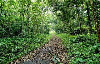 Ninh Bình: Tìm kiếm du khách lạc trong rừng Cúc Phương