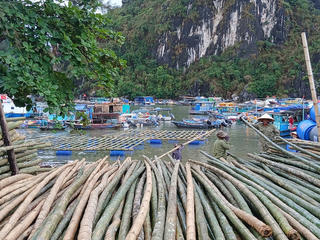 Quảng Ninh: Gỡ vướng trong giao biển nuôi trồng thủy sản