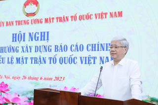 Các tổ chức thành viên, Hội đồng tư vấn góp ý xây dựng báo cáo chính trị và sửa đổi điều lệ MTTQ Việt Nam