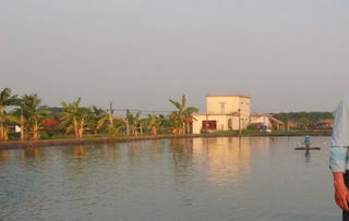 Xây công trình phục vụ sản xuất nông nghiệp ở Nam Định: Không quá 5% diện tích