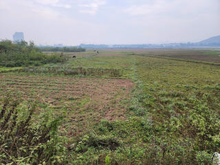 Phú Thọ: Cưỡng chế 13 hộ dân thực hiện 2 dự án hơn 900 tỷ đồng