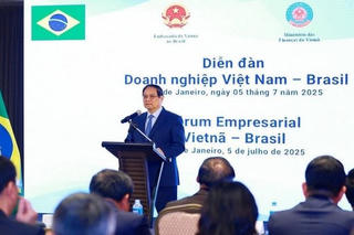 Đối tác Chiến lược Việt Nam-Brazil: 'Quan hệ kinh tế luôn là trụ cột quan trọng'