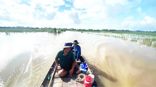 Săn sản vật mùa 'lũ chậm'
