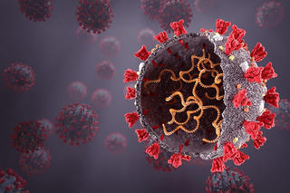 Biến thể Omicron mới xuất hiện tại Việt Nam, người dân vẫn lơ là phòng dịch