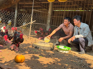 Đông Tảo nỗ lực bảo tồn đặc sản địa phương gắn với bảo vệ môi trường