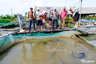 Cần Thơ đẩy mạnh phát triển ngành nghề, làng nghề gắn với du lịch nông thôn