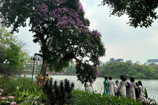 ‘Hội chứng’ check-in