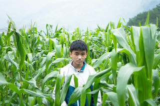 Cậu học sinh nghèo người Dao hái chè thuê từ năm lớp 6 để kiếm tiền đến trường