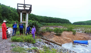 Quảng Ninh: Đưa khách du lịch tuyến đảo về đất liền trước bão