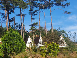 Bắt chẹt và tận thu