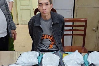 Bắt giữ các đối tượng trong đường dây vận chuyển ma túy từ Hà Lan về Việt Nam