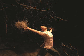 Tôn vinh vẻ đẹp của cánh đồng lúa chín Hội An