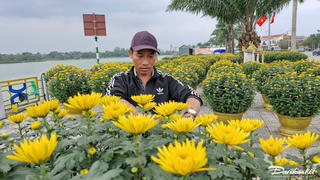 Chợ hoa Tết bên dòng sông Hiếu