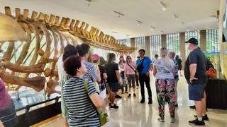 4308 du khách trên tàu SPECTRUM OF THE SEAS đến và thăm quan du lịch tại Nha Trang