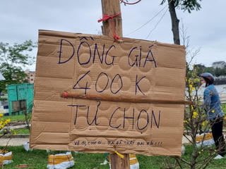 Hoa Tết tiêu thụ chậm, tiểu thương treo biển: ‘ba đã thất bại rồi’