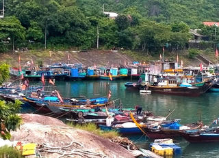 Quảng Nam chủ động ứng phó bão Noru