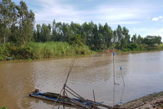 Đi đổ dớn bắt cá linh non đầu mùa