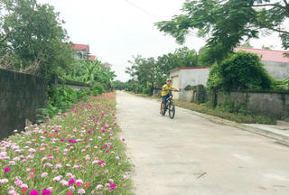 Nông thôn văn minh, đáng sống với '3 không'