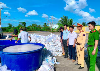 Tiêu hủy hơn 2,7 triệu con tôm giống không qua kiểm dịch
